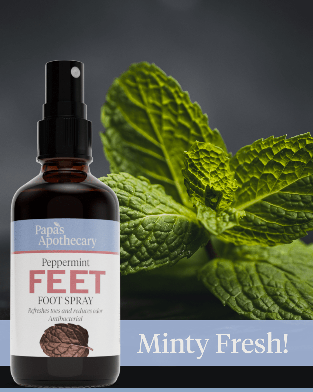 Foot Spray - Natural Botanical Skincare - Papa's Apothecary